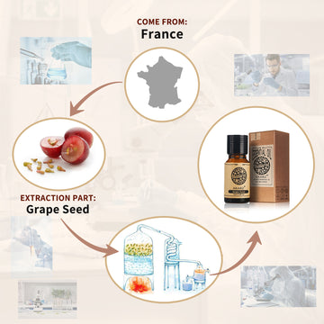 AKARZ Grape Seed Oil - All-Natural Carrier Oil, Antioxidant, Wrinkle Reducer, Anti-Aging - Moisturizing & Cleansing - Imported from France